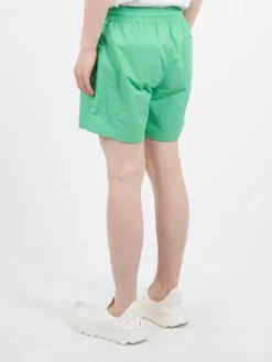 Clearance - Classic Swim Shorts in Spring Green Swimwear