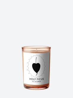 Sale - Holy Ficus Candle Candles & Home Scents