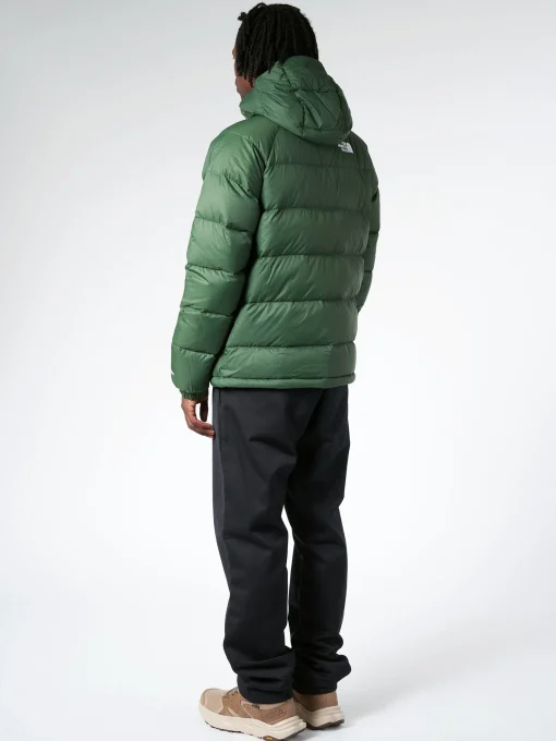 Discount - Hydrenalite Down Hoodie in Pine Needle Outerwear